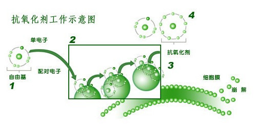 185773484646535409_副本.jpg